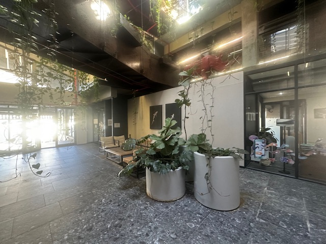 To Let commercial Property for Rent in Zonnebloem Western Cape